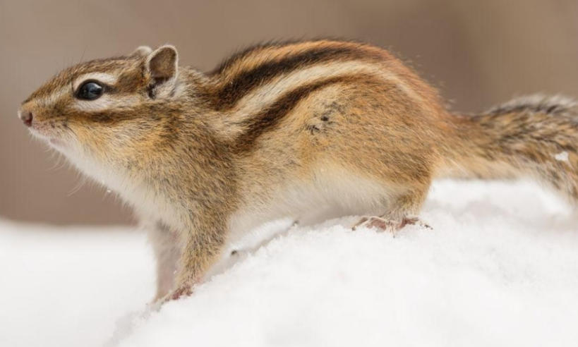 杭州天杭强化生态材料厂轮播图1