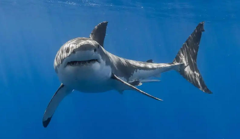 杭州天杭强化生态材料厂轮播图1