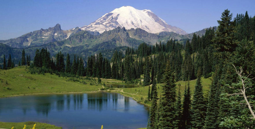 杭州天杭强化生态材料厂轮播图4